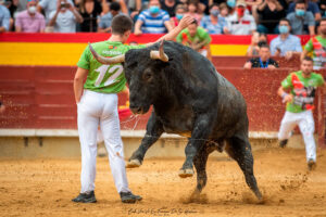 Camisetas recortador de toros