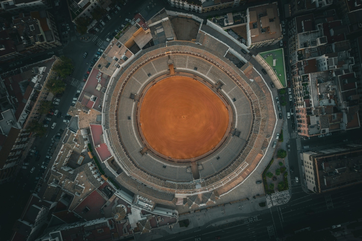 17416240262901 | Toros en la mancha