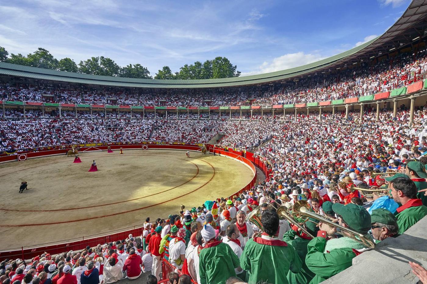 6 plaza toros | Toros en la mancha