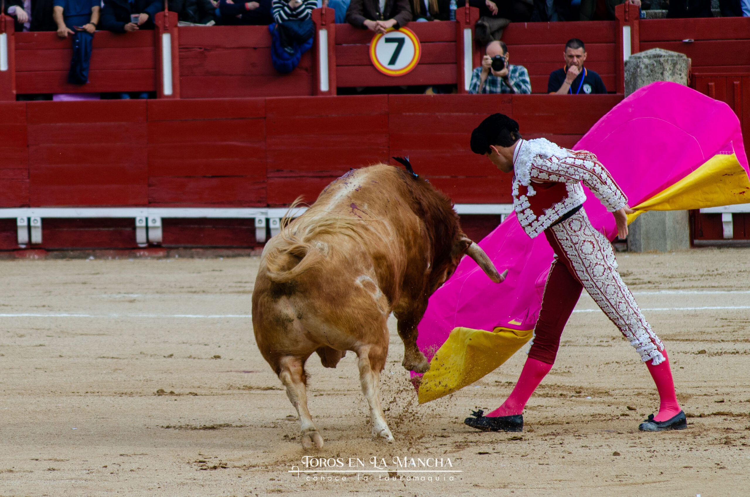 DSC0239 2 scaled | Toros en la mancha