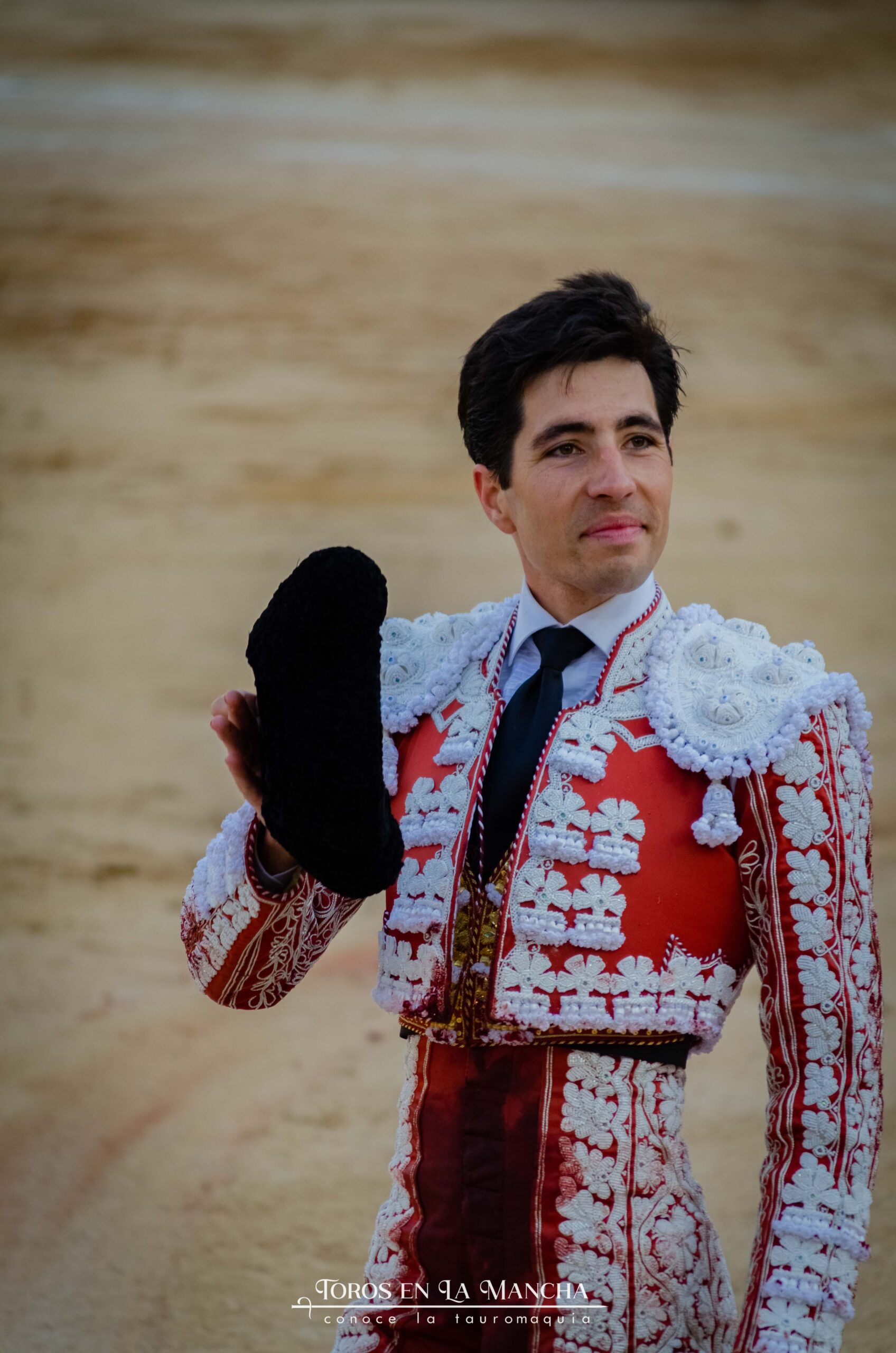 DSC0599 2 scaled | Toros en la mancha